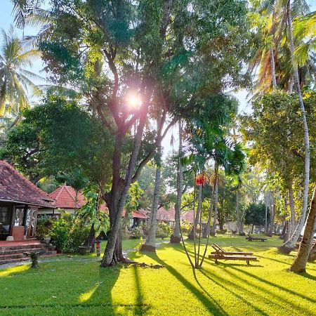Gaia-Oasis Beach Resort テジャクラ エクステリア 写真